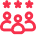 Professional Team Icon